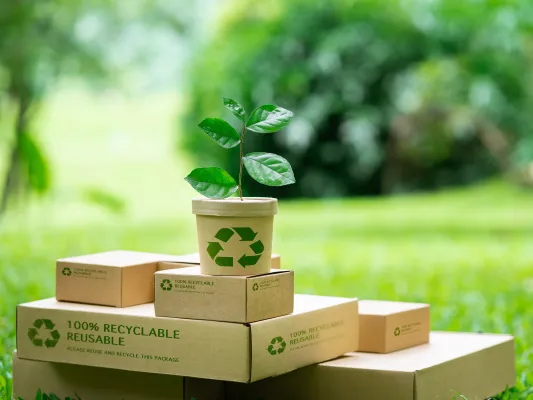 Ecodesign de embalagens: crie opções sustentáveis