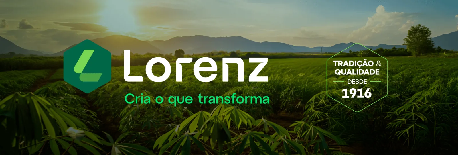 Desde 1916