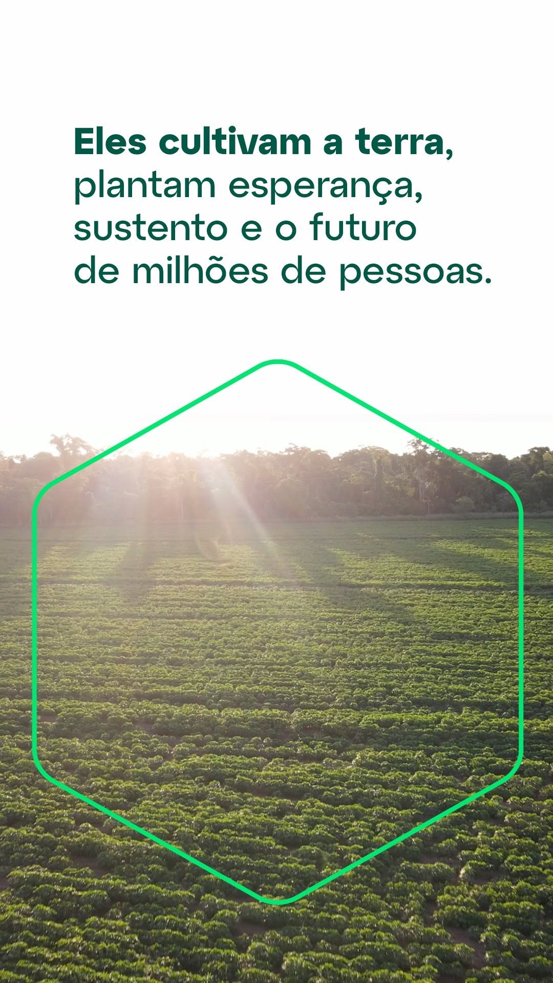 Com mais de 1.200 parceiros agricultores, sabemos que é no campo que tudo começa. 

São eles que,