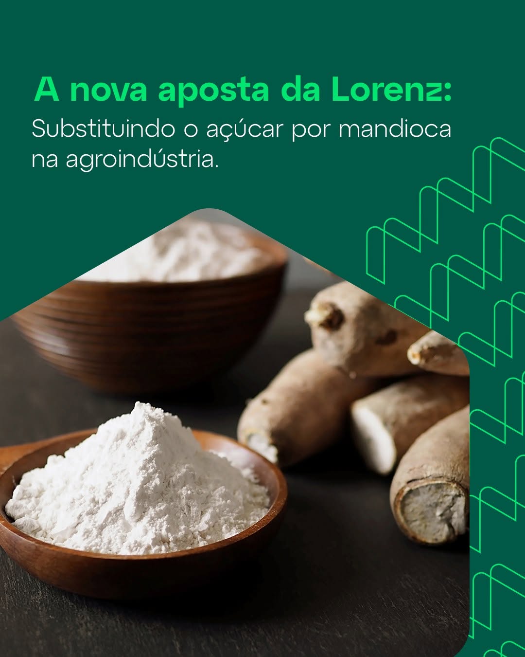 No Brasil e no mundo, estamos posicionando a mandioca como uma eficiente alternativa ao açúcar em 