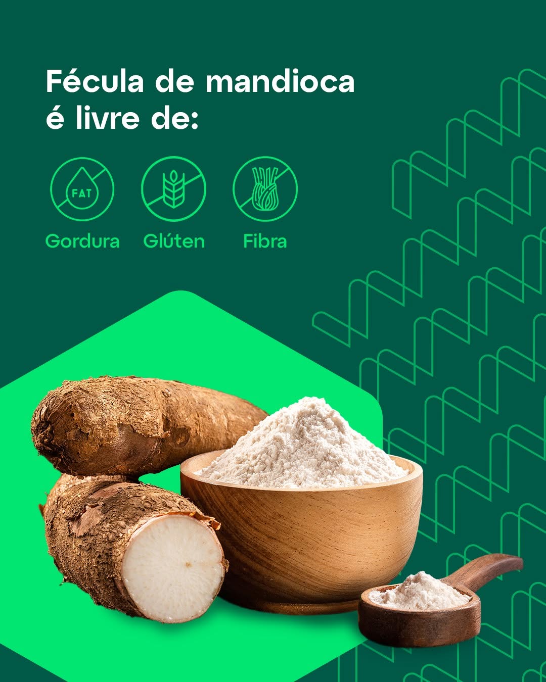 Você já sabia disso?

A fécula de mandioca é um ingrediente estratégico para a indústria de al