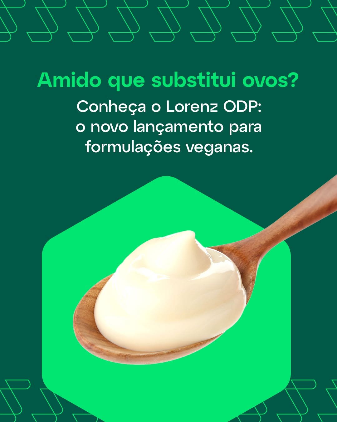Apresentamos ao setor de alimentos veganos uma grande novidade!

O Lorenz ODP é um amido pregelatin