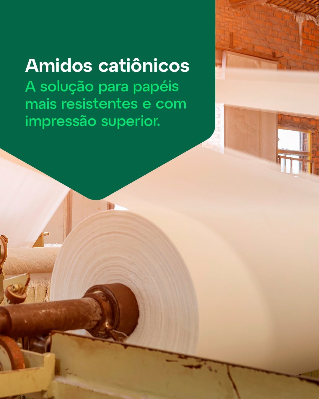 Fundamentais para a produção de papéis de alta performance, os amidos catiônicos oferecem maior 